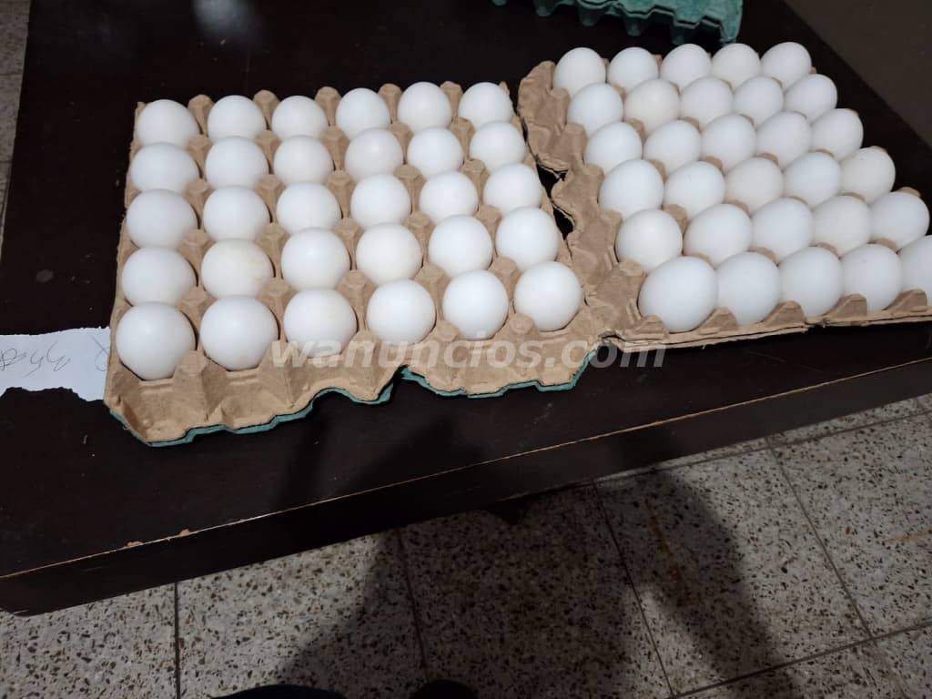 380 Quetzales - Huevo criollo blanco fresco por caja entera y por media caja (Capital)
