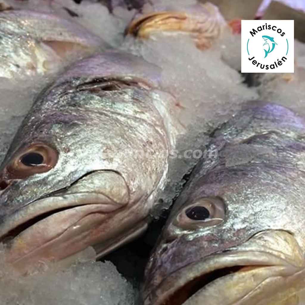 Mariscos frescos entregados a tu puerta - Mariscos Jerusalen 4