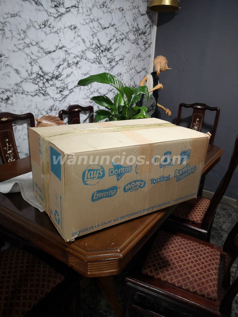 18.000 Pesos - Vainas de cuchufli para rellenar con manjar (San Joaquin Santiago) 3