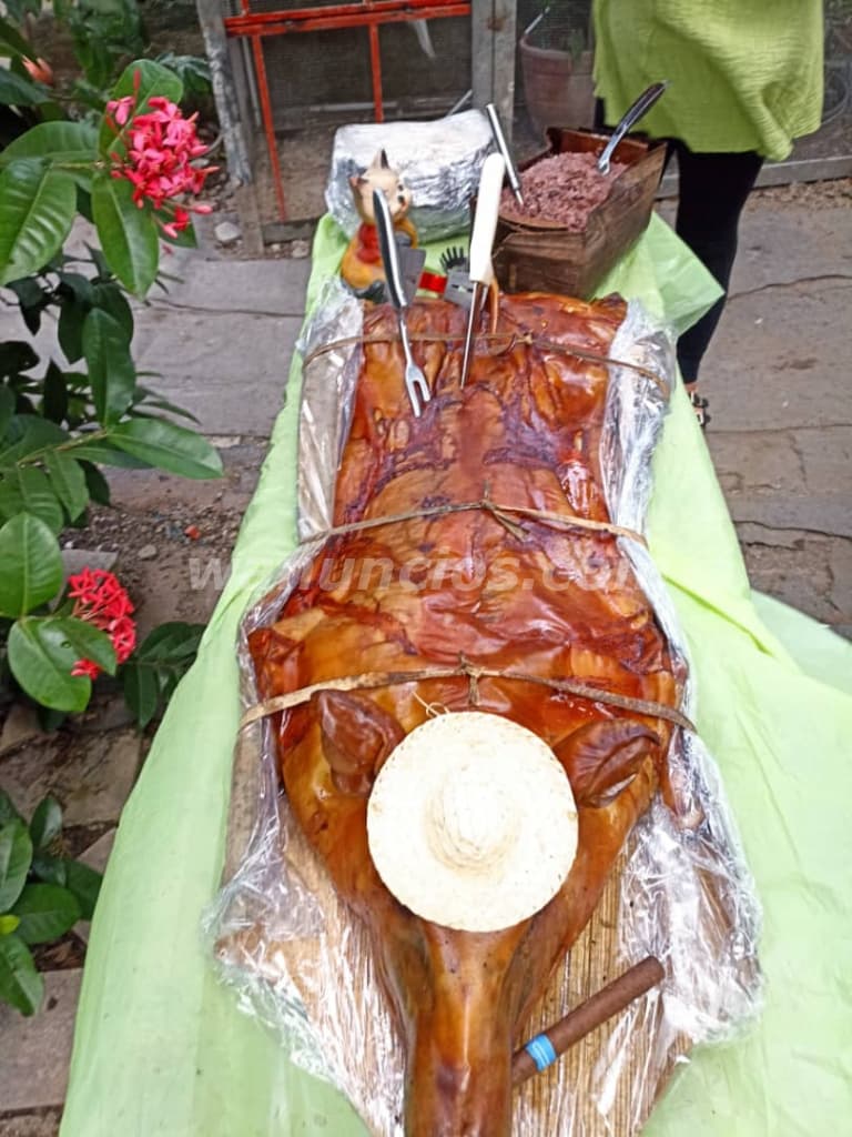 Comida criolla a domicilio en toda La ciudad de la Habana