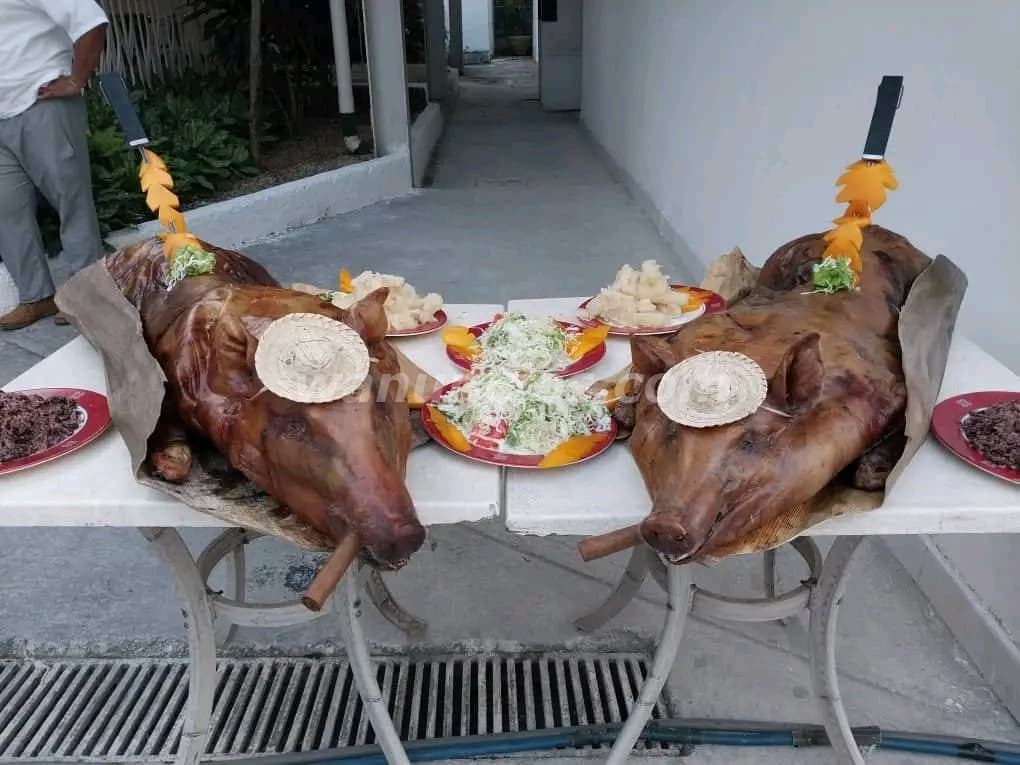 Cerdo Asado Entero Servicio en Toda La Habana