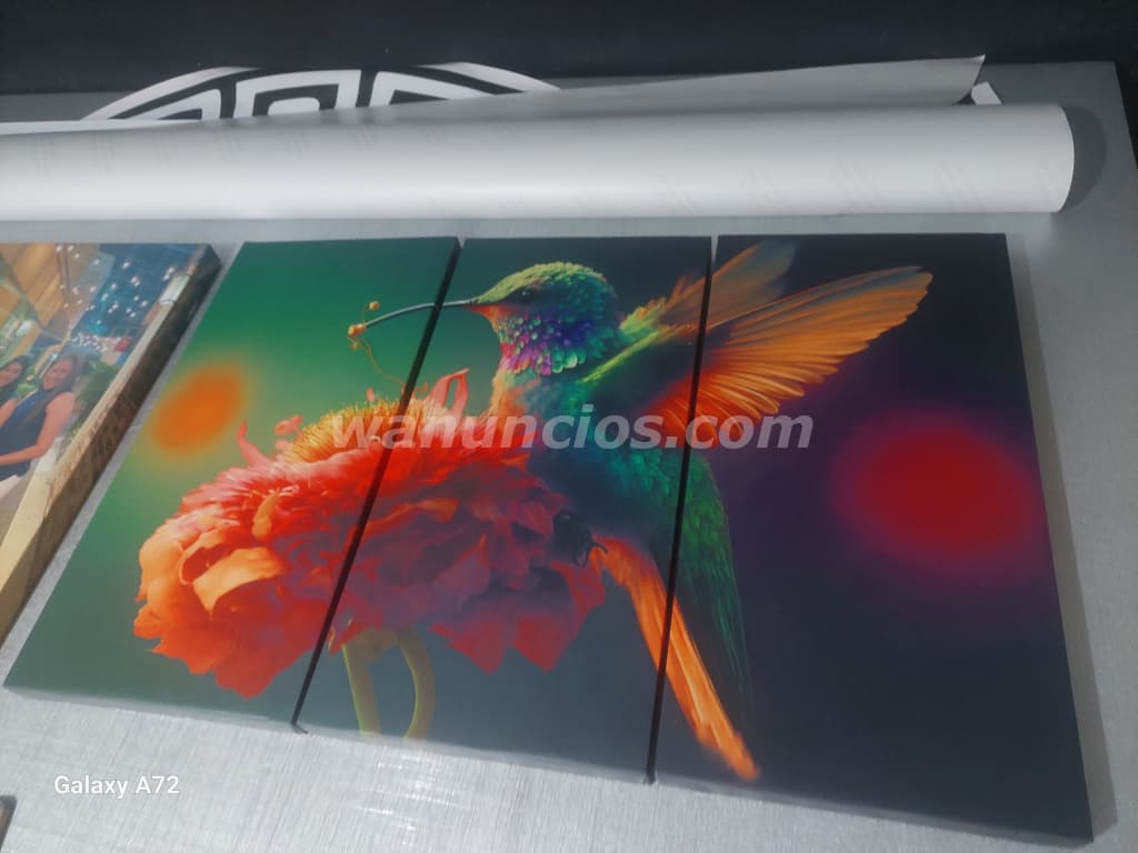 15 US$ - Lindos cuadros personalizados en lonas cambas (Todo el pais) 3