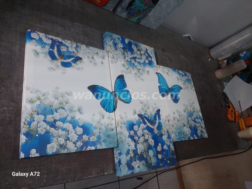 15 US$ - Lindos cuadros personalizados en lonas cambas (Todo el pais) 4