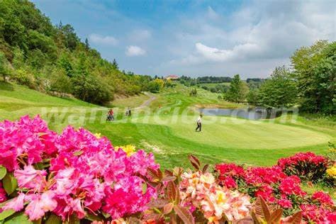 17.000 US$ - COMPRO ACCIONES CLUB VAAC, VALLE ARRIBA ATHLETIC, VALLE ARRIGOLF, PLAYA GRANDE (VALLE A 2