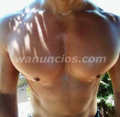 MACHO MUSCULOSO ACTIVO, SERVICIO PROFESIONAL (Maracaibo)