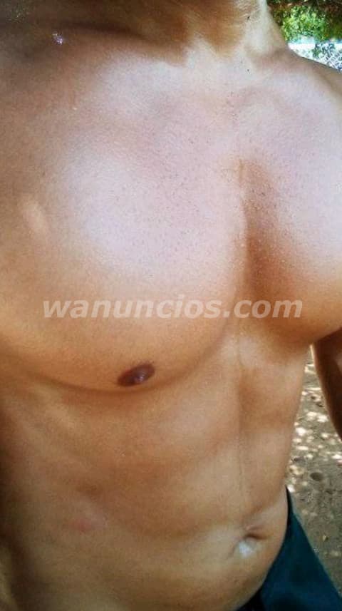 MACHO MUSCULOSO ACTIVO, SERVICIO PROFESIONAL (Maracaibo) 2