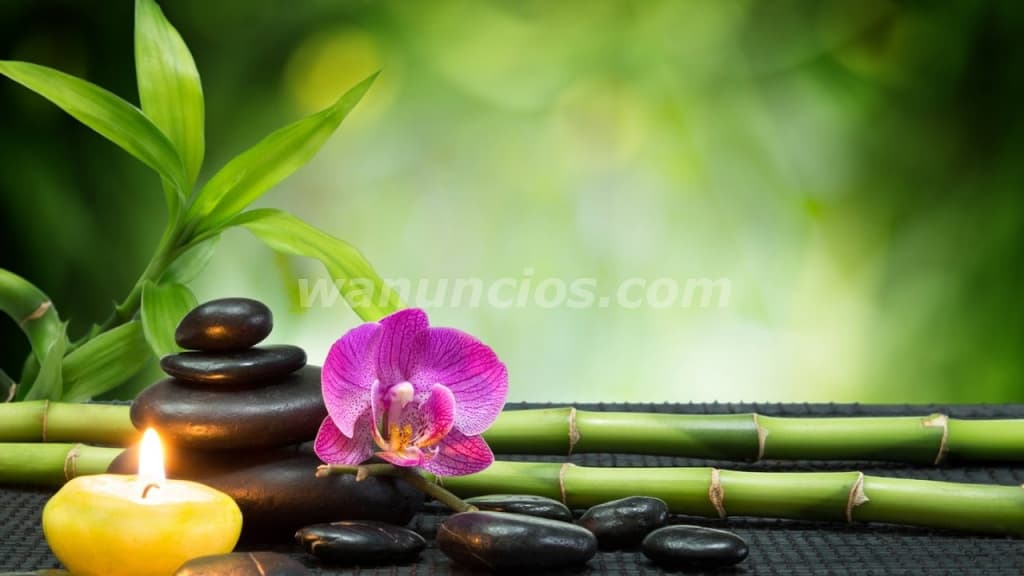 Masajes relajantes, sensitivos y tantra Aitana Masajes (Magdalena)