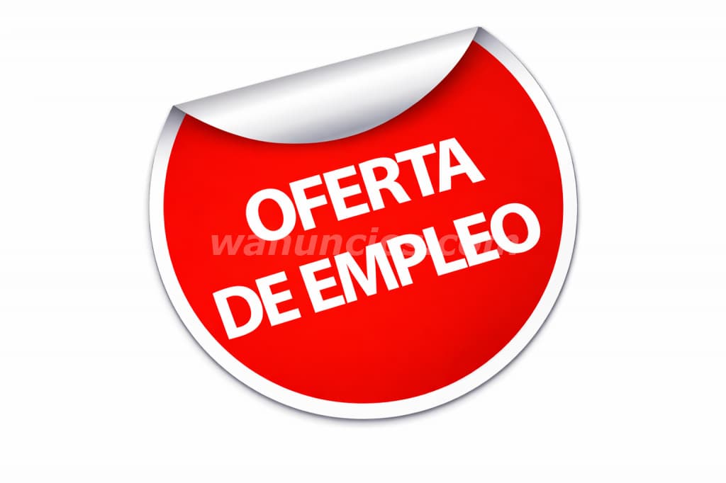 Gana Desde Tu Primer Día Y Mejora Tu Economía Con Estilo