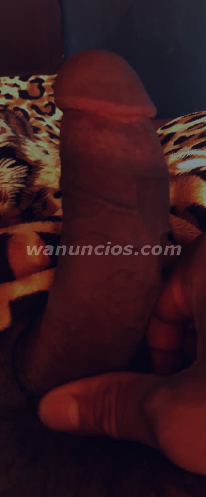 Soy chico trigueño con rica polla negra Xl para ti (La hacienda) 2