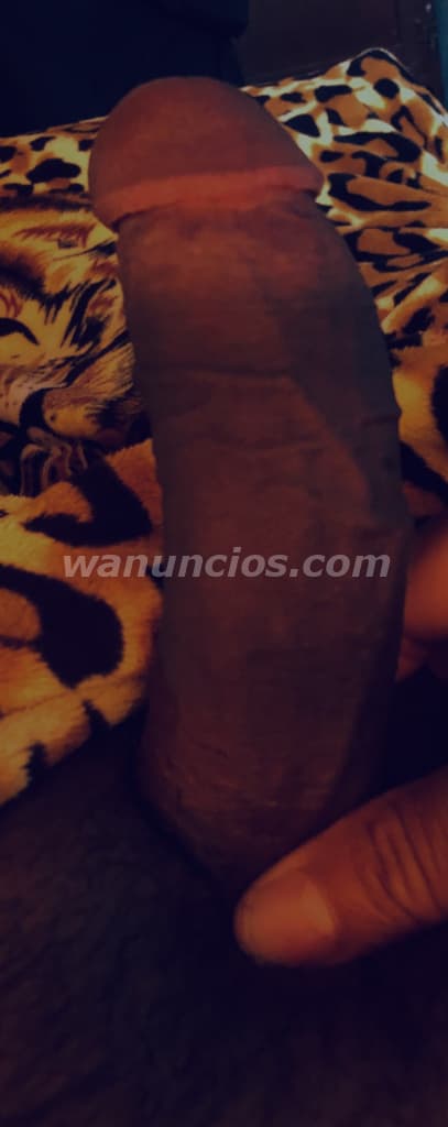 Soy chico trigueño con rica polla negra Xl para ti (La hacienda) 3