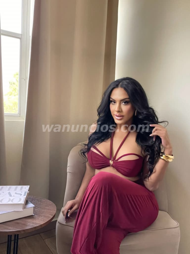 Lily Trans VIP últimos días Agend ya mismo (Centroamérica)