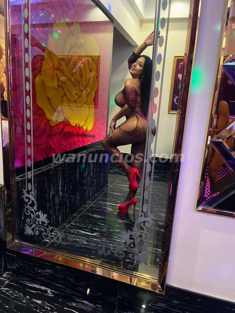 Lily Trans VIP últimos días Agend ya mismo (Centroamérica) 3