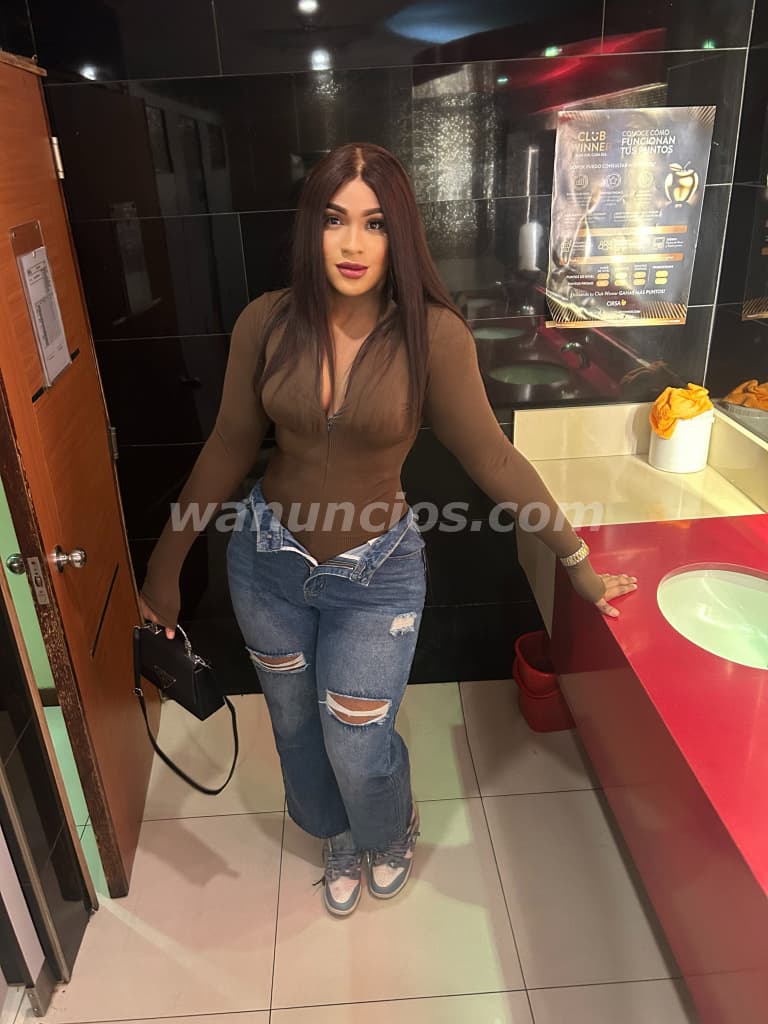 Transexual Educada Y Sumamente Discreta, Disponible.. (Santo Domingo Oeste) 2