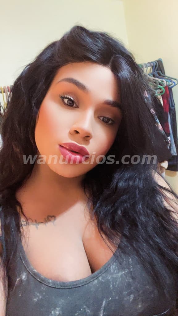 Transexual Educada Y Sumamente Discreta, Disponible.. (Santo Domingo Oeste) 3