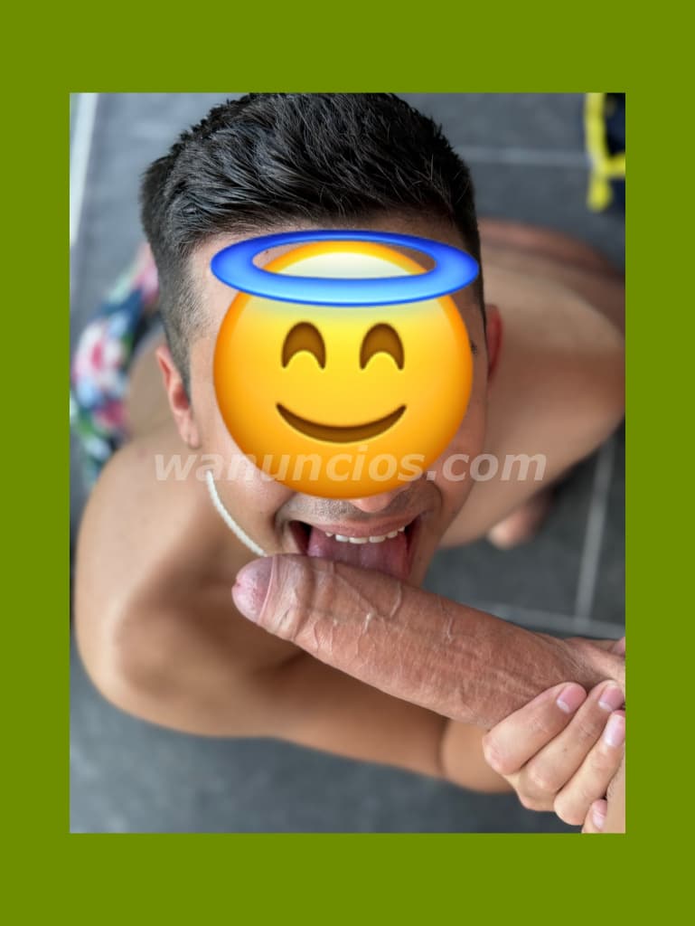 60633976 $$$ Gay pasivo escort el más top MAMANDO profesional top promo hoy (Panamá avenida Balboa) 5