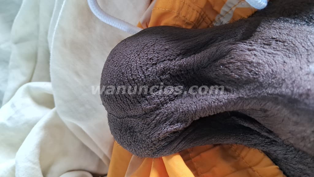NEGRA TRANS, BIEN DOTADA CARIÑOSA DA EL MEJOR TRATO DE NOVIO QUE JAMAS A SENTIDO (VILLA MELLA SABANA 2