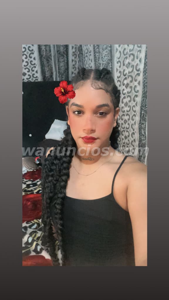 Hola soy Candy disponible nueva mente solo en Barahona 8097645102 (La donante) 2