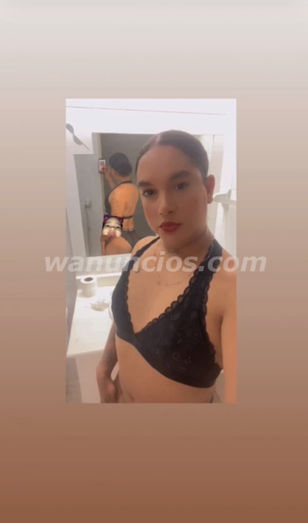 Hola soy Candy disponible nueva mente solo en Barahona 8097645102 (La donante) 3
