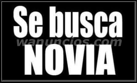 Hola busco damitas que deseen empezar una bonita amistad soy de quito (Quito)