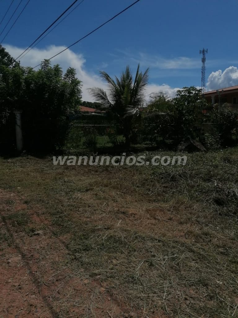 55.000 US$ - Venta de terreno en Gorgona a 5 minutos de la playa (Rural)
