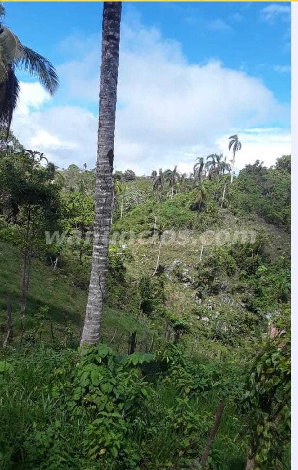 40 US$ - Se Vende hermoso Terreno en Samaná, con vista al mar (Punta Balandra, Samana)