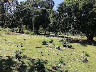 45 US$ - Vendo Terreno en Samaná, frente a la carretera principal hacia las Galeras (El Francés, Sam