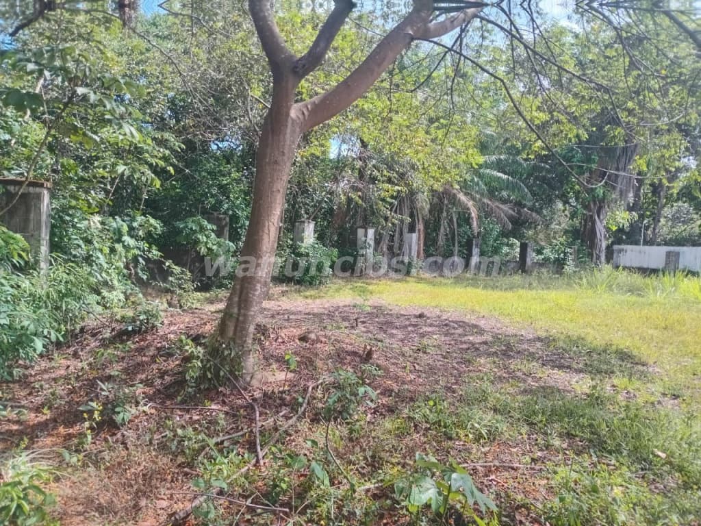 93.667 US$ - Se vende terreno en Villa Mercedes, David Chiriquí 1,502.43 m2 (Villa Mercedes, David C