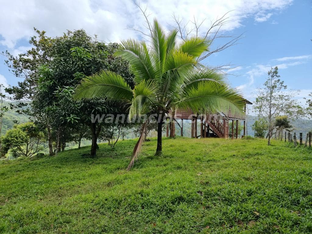 581.000 US$ - Se vende finca 166 hectareas full ganadera