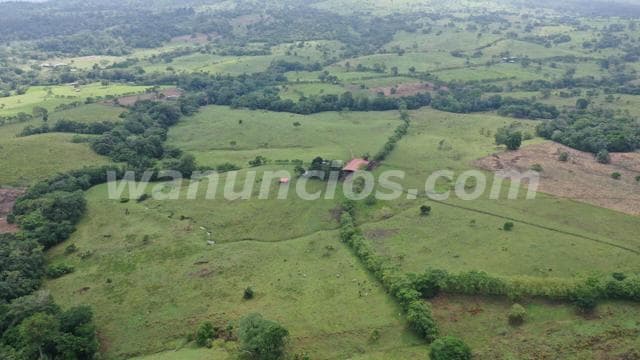 2.520.000 US$ - Se vende finca de 360 hectareas con doble proposito