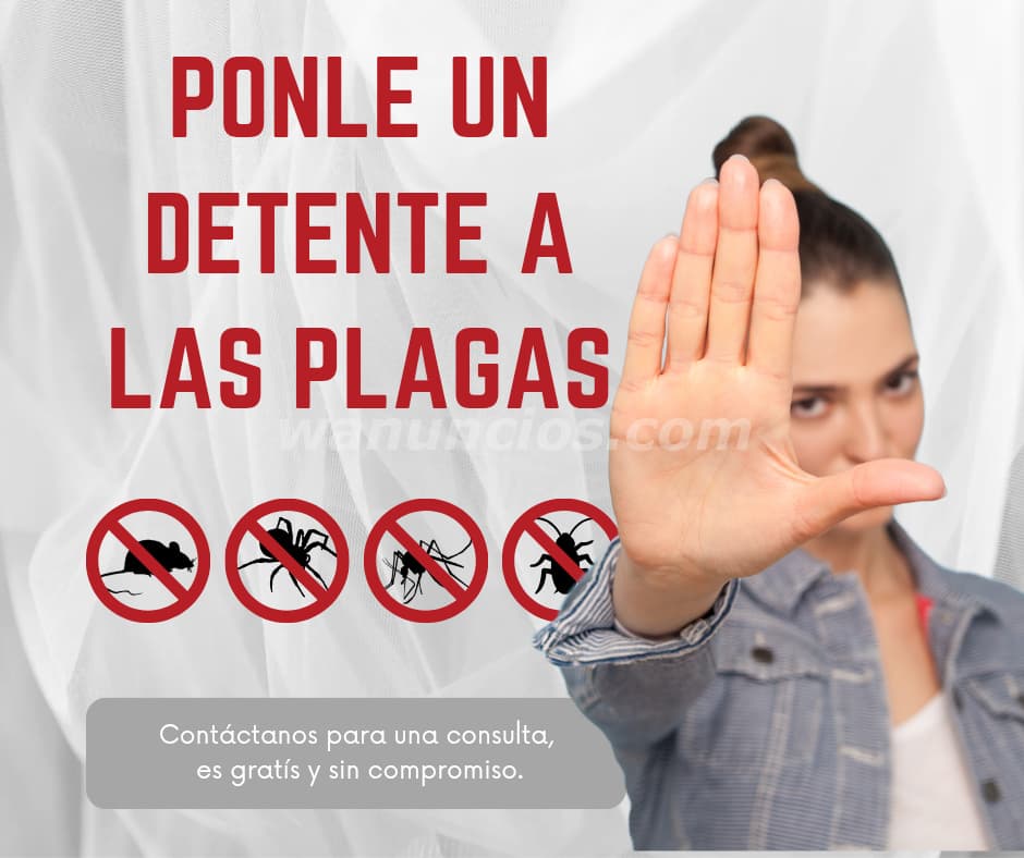 Exterminadores de Plagas en Puerto Rico- Control de Plagas