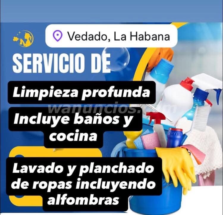 Servicio de limpieza garantizamos seriedad y confianza (Plaza)