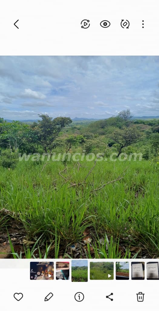 Solicito ayudante para realizar limpieza en lote (Santiago de veraguas)