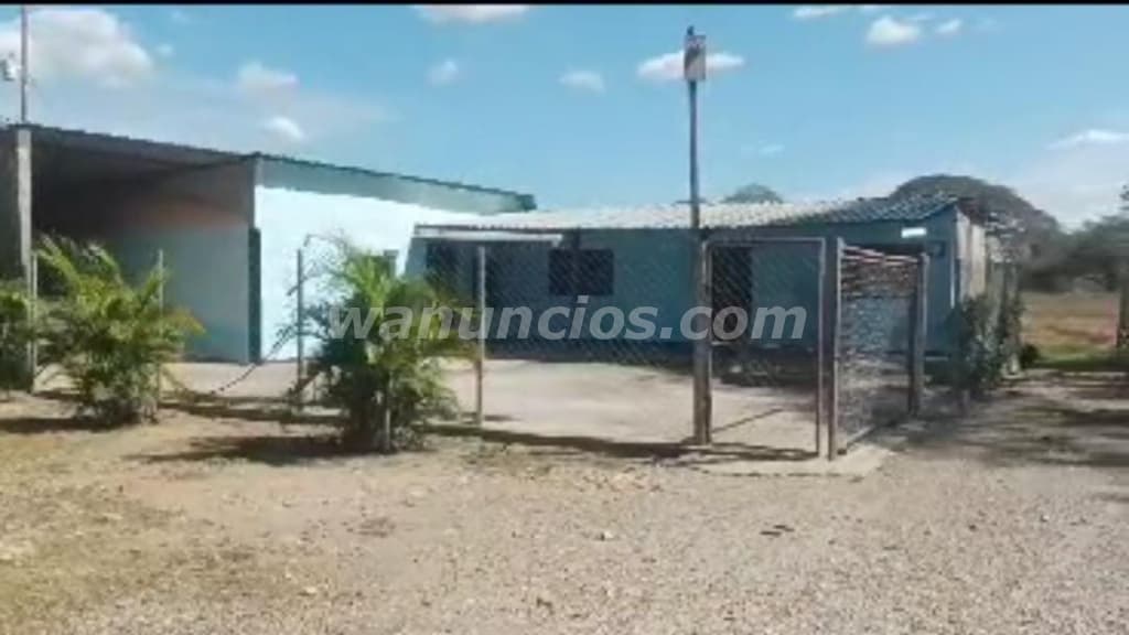 60.000 US$ - Hermosa Finca 31 Hectáreas lista para trabajar (Estado Cojedes)