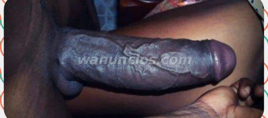 +507 60323702 VERGON DURO GRUESO VENOSO CABEZON (Panamá City)
